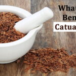 What are the Benefits of Catuaba Bark?